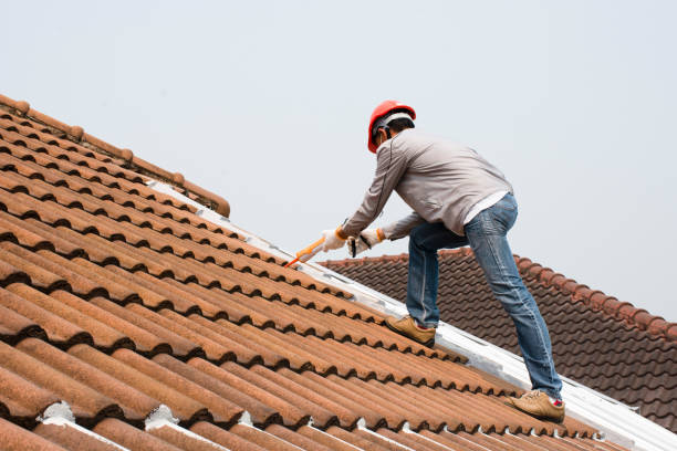 Best 4 Ply Roofing  in Lexington, NC